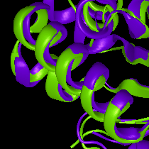 protein-structural-alignment-step-4 Protein Structural Alignment Step 4